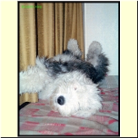 068-08_s.jpg