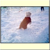 068-00_s.jpg