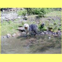 074-00_s.jpg