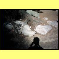 IL014-013_s.jpg