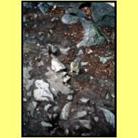 IL014-014_s.jpg