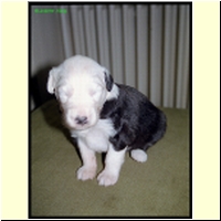 082-13michi_s.jpg