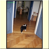 085-09_s.jpg
