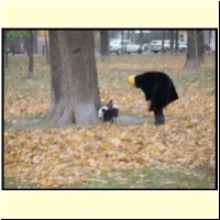 085-00_s.jpg