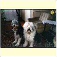 1995-11_Scan45_s.jpg