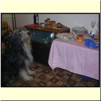 DSCN0001_s.jpg
