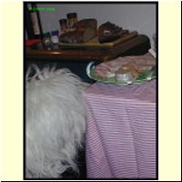 DSCN0011_s.jpg