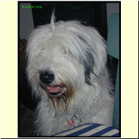 DSCN0015_s.jpg