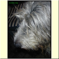 DSCN0016_s.jpg