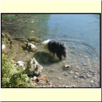 Dscn0876_s.jpg