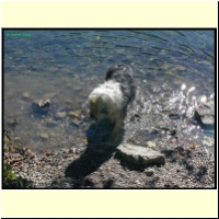 Dscn0878_s.jpg