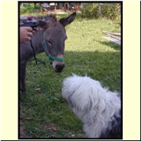 Dscn0912_s.jpg