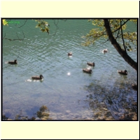 dscn0875_s.jpg