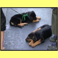 DSCN5764_s.jpg