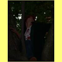 DSCN6257_s.jpg