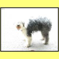 DSCN6263_s.jpg