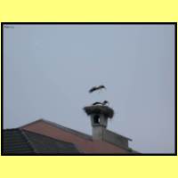 DSCN6298_s.jpg