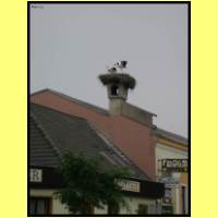 DSCN6299_s.jpg
