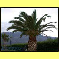 Dscn9033_s.jpg