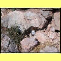Dscn9058_s.jpg