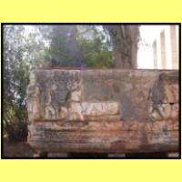 Dscn9083_s.jpg