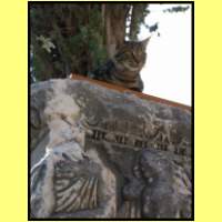 Dscn9085_s.jpg