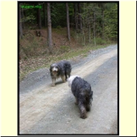 DSCN6944_s.jpg