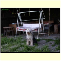 DSCN6970_s.jpg