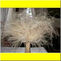 DSCN9234_s.jpg