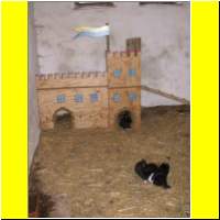 DSCN9258_s.jpg