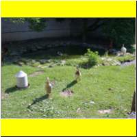 DSCN9273_s.jpg