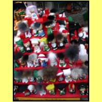 Dscn0571_s.jpg