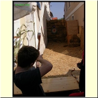 DSCN0709_s.jpg