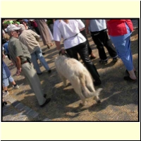 DSCN0726_s.jpg