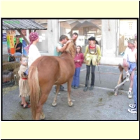 DSCN0798_s.jpg