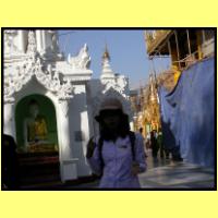Dscn2380_s.jpg