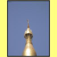 Dscn2438_s.jpg