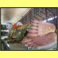 Dscn2452_s.jpg