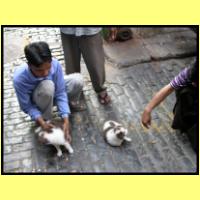Dscn2502_s.jpg
