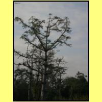 Dscn2771_s.jpg