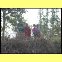 Dscn2772_s.jpg