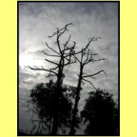 Dscn2773_s.jpg