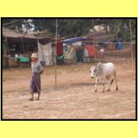 Dscn2808_s.jpg