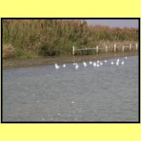 Dscn2889_s.jpg
