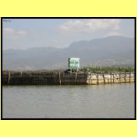 Dscn2892_s.jpg