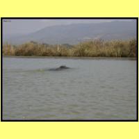 Dscn2893_s.jpg