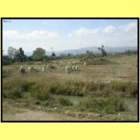 Dscn2898_s.jpg