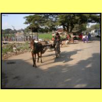 Dscn2934_s.jpg