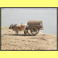 Dscn2991_s.jpg