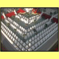 Dscn3069_s.jpg